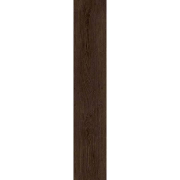 XFV2215 Black Oak